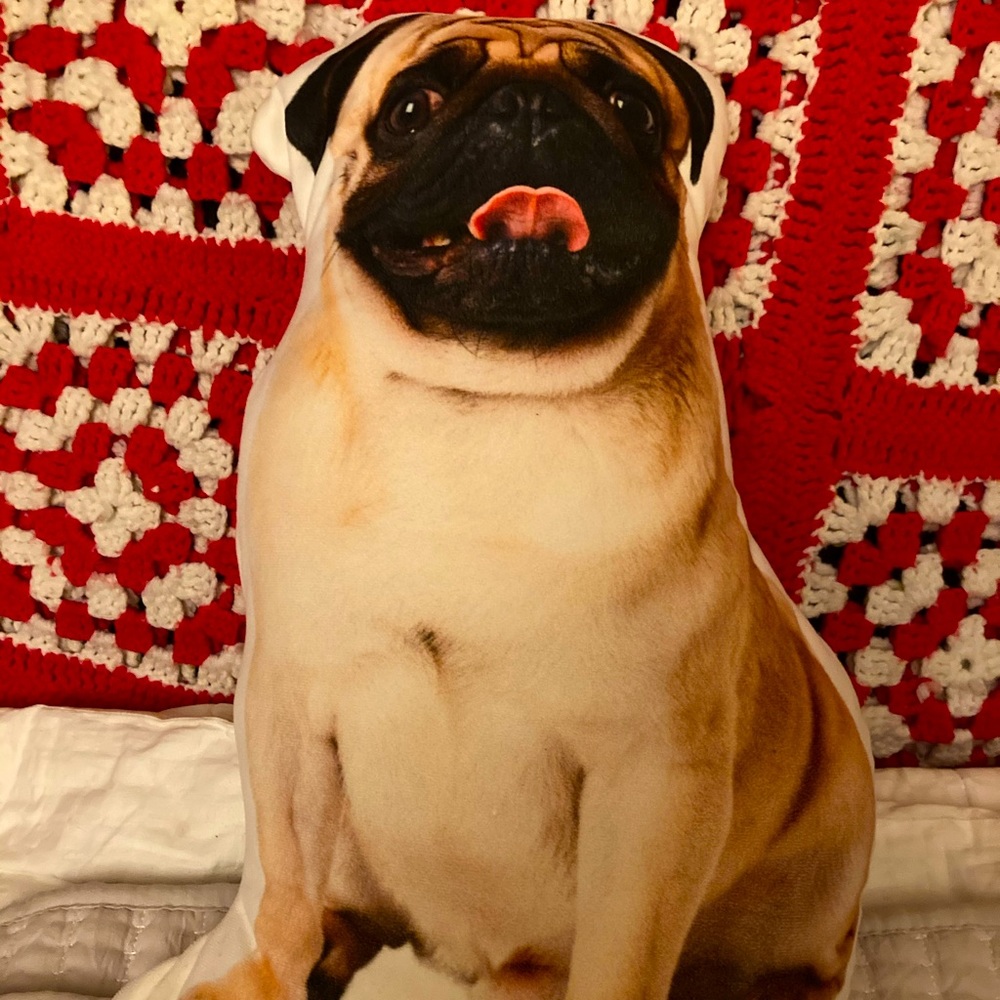 Plush pug pillow!